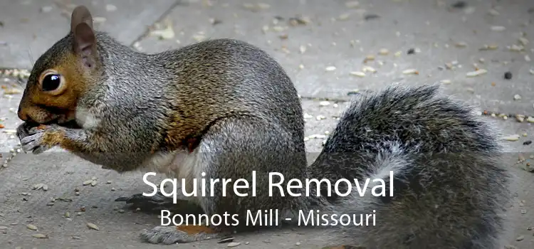 Squirrel Removal Bonnots Mill - Missouri