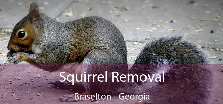 Squirrel Removal Braselton - Georgia