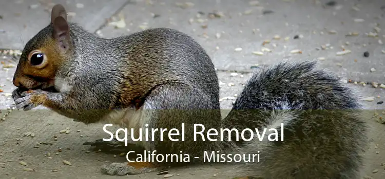 Squirrel Removal California - Missouri