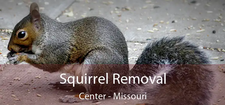 Squirrel Removal Center - Missouri