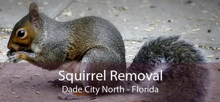 Squirrel Removal Dade City North - Florida
