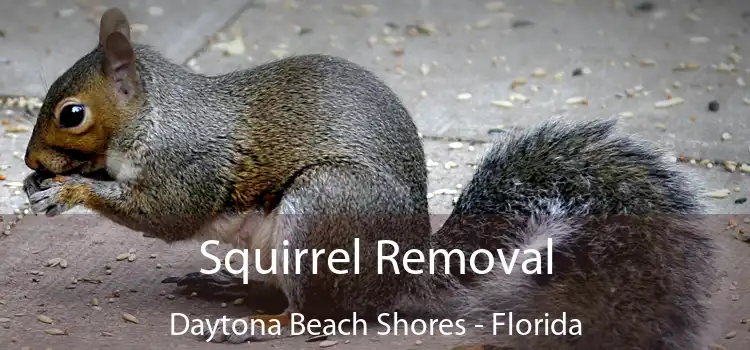 Squirrel Removal Daytona Beach Shores - Florida