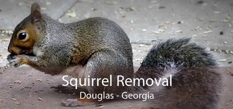 Squirrel Removal Douglas - Georgia