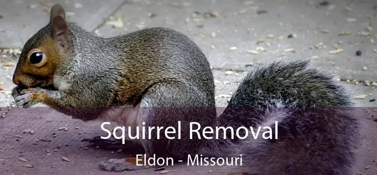 Squirrel Removal Eldon - Missouri