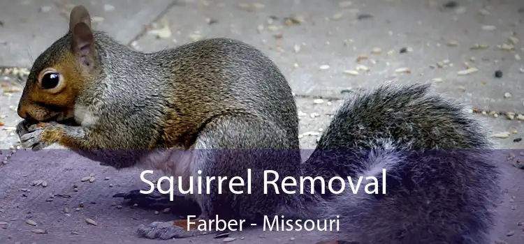 Squirrel Removal Farber - Missouri
