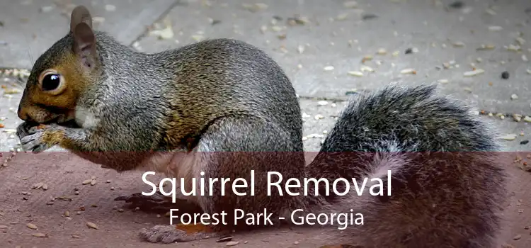 Squirrel Removal Forest Park - Georgia
