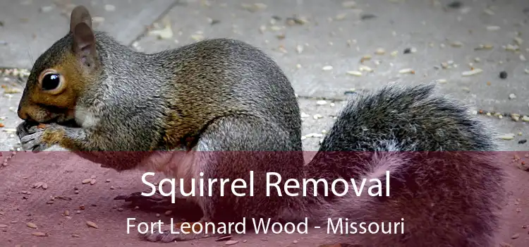 Squirrel Removal Fort Leonard Wood - Missouri