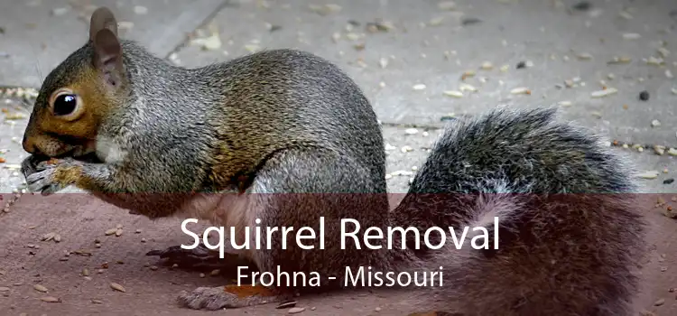 Squirrel Removal Frohna - Missouri
