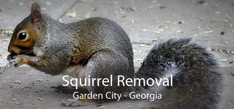 Squirrel Removal Garden City - Georgia