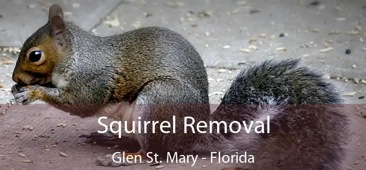 Squirrel Removal Glen St. Mary - Florida