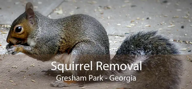 Squirrel Removal Gresham Park - Georgia