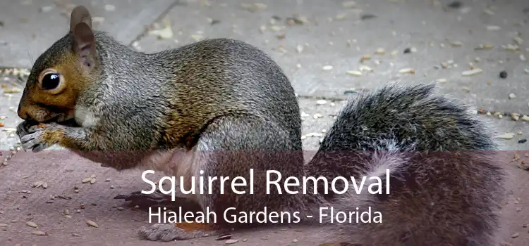 Squirrel Removal Hialeah Gardens - Florida