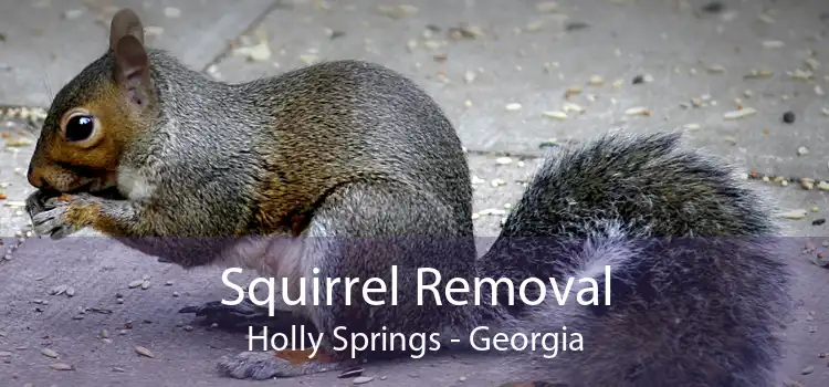 Squirrel Removal Holly Springs - Georgia