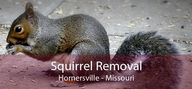 Squirrel Removal Hornersville - Missouri