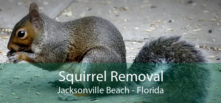 Squirrel Removal Jacksonville Beach - Florida
