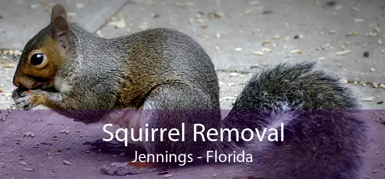 Squirrel Removal Jennings - Florida
