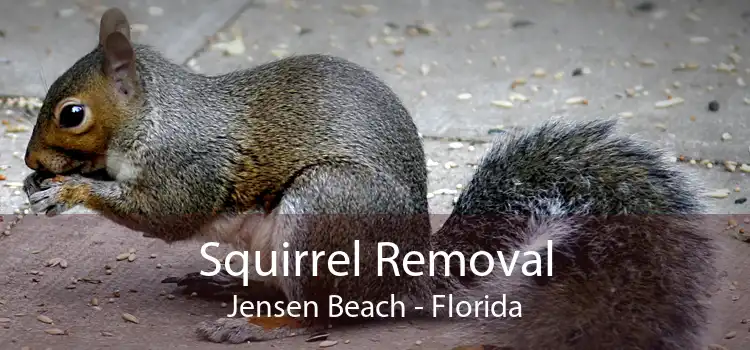 Squirrel Removal Jensen Beach - Florida