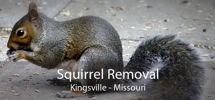 Squirrel Removal Kingsville - Missouri