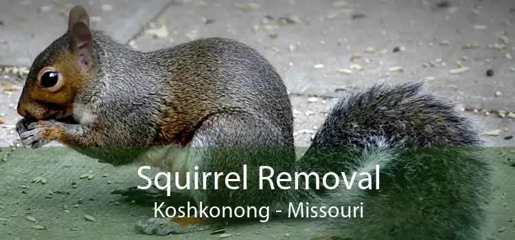 Squirrel Removal Koshkonong - Missouri