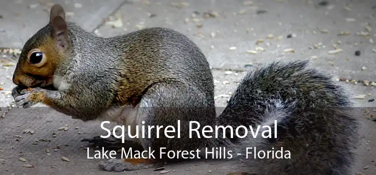 Squirrel Removal Lake Mack Forest Hills - Florida