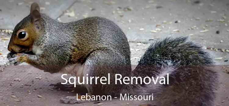 Squirrel Removal Lebanon - Missouri