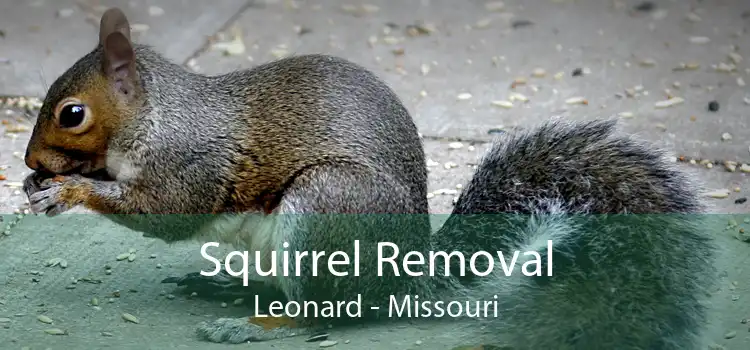 Squirrel Removal Leonard - Missouri