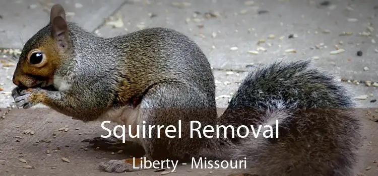 Squirrel Removal Liberty - Missouri
