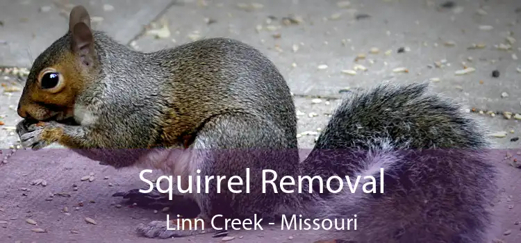 Squirrel Removal Linn Creek - Missouri