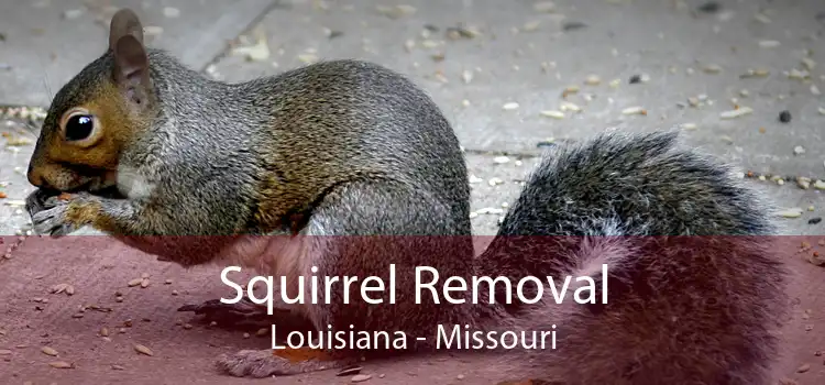 Squirrel Removal Louisiana - Missouri