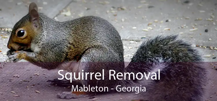 Squirrel Removal Mableton - Georgia