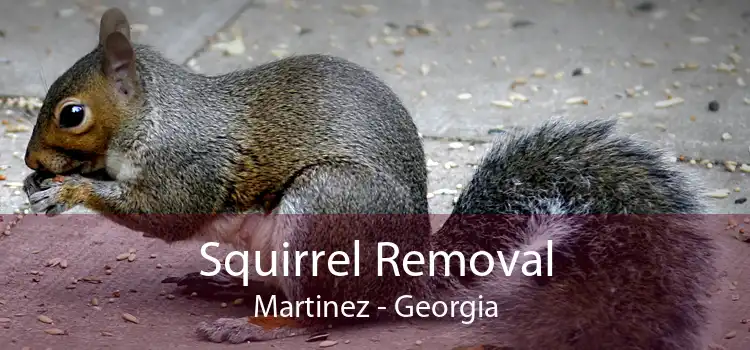 Squirrel Removal Martinez - Georgia