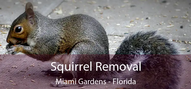 Squirrel Removal Miami Gardens - Florida