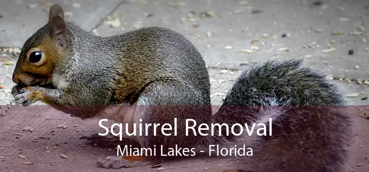 Squirrel Removal Miami Lakes - Florida