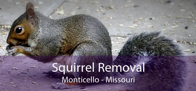 Squirrel Removal Monticello - Missouri