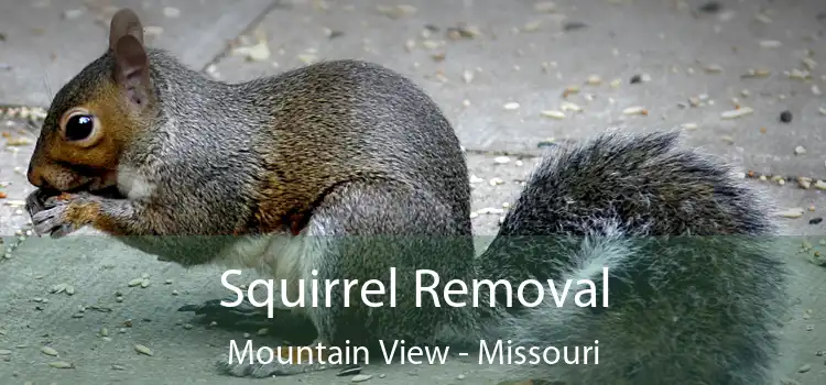 Squirrel Removal Mountain View - Missouri