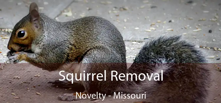 Squirrel Removal Novelty - Missouri