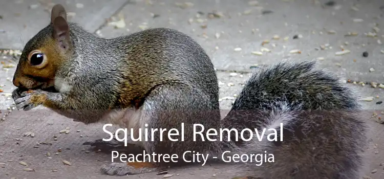 Squirrel Removal Peachtree City - Georgia