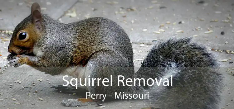 Squirrel Removal Perry - Missouri