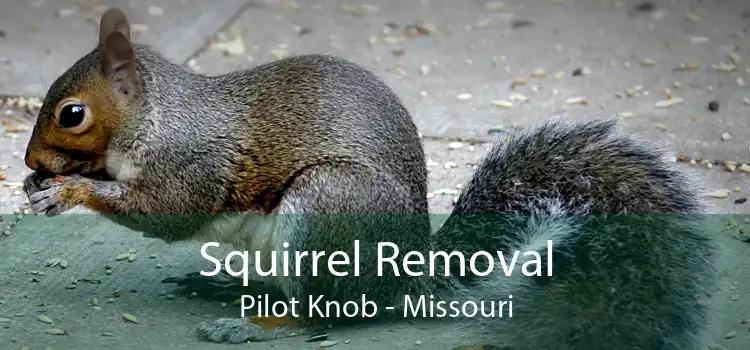 Squirrel Removal Pilot Knob - Missouri