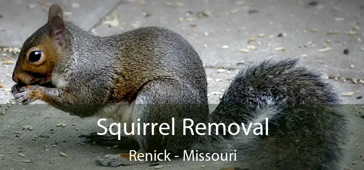 Squirrel Removal Renick - Missouri
