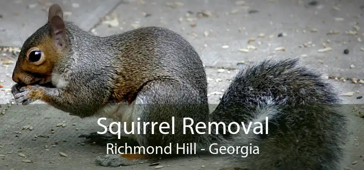 Squirrel Removal Richmond Hill - Georgia