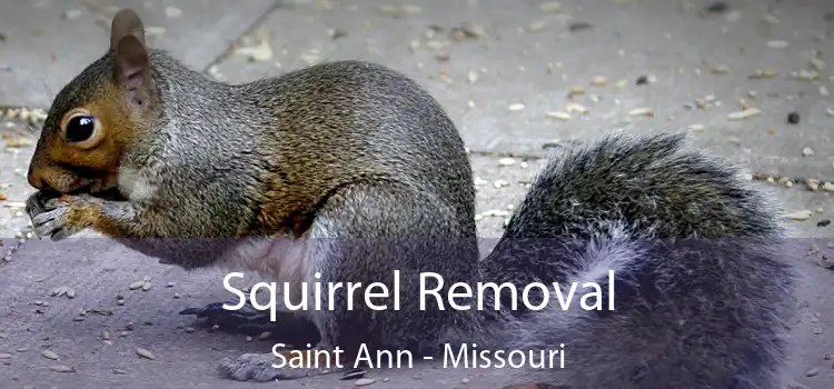 Squirrel Removal Saint Ann - Missouri
