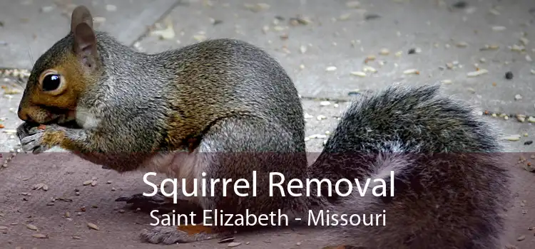 Squirrel Removal Saint Elizabeth - Missouri