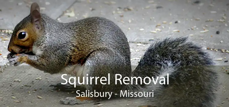 Squirrel Removal Salisbury - Missouri