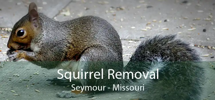 Squirrel Removal Seymour - Missouri