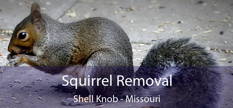 Squirrel Removal Shell Knob - Missouri