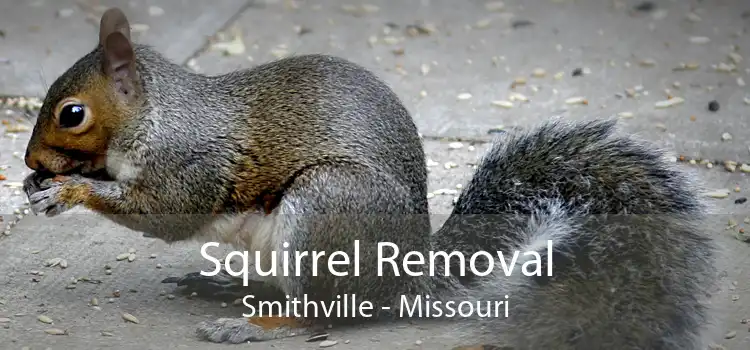 Squirrel Removal Smithville - Missouri