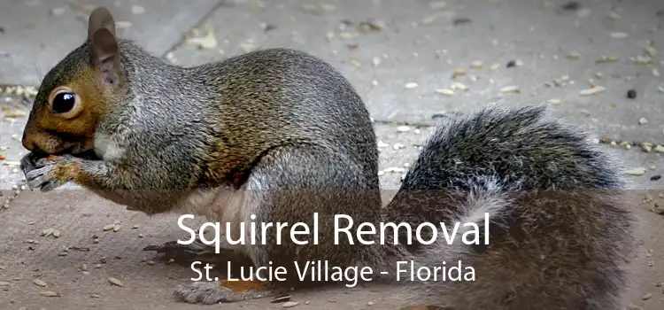 Squirrel Removal St. Lucie Village - Florida