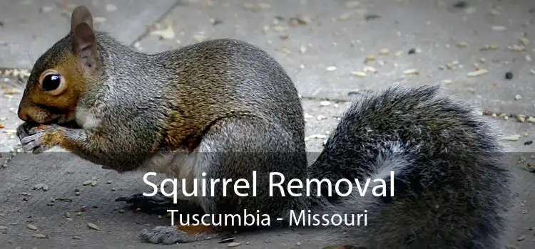 Squirrel Removal Tuscumbia - Missouri