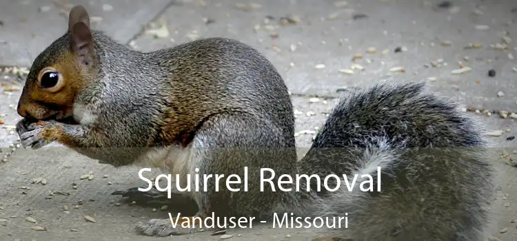 Squirrel Removal Vanduser - Missouri